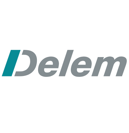 Logo DELEM